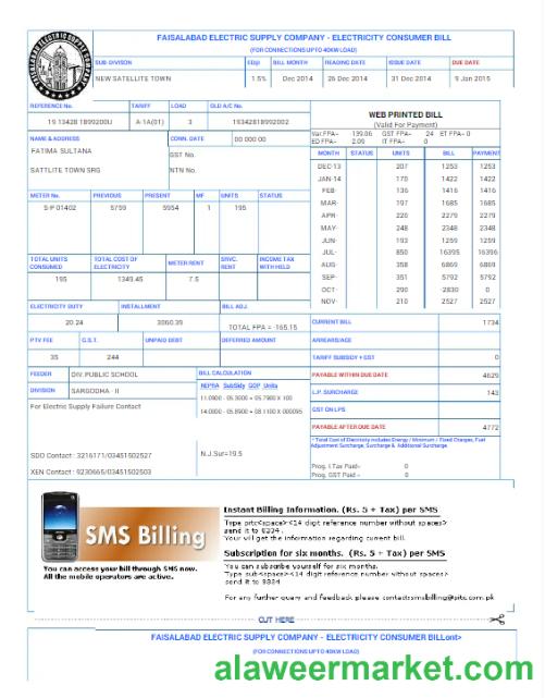 PAKISTAN FAISALABAD utility bill Word and PDF template